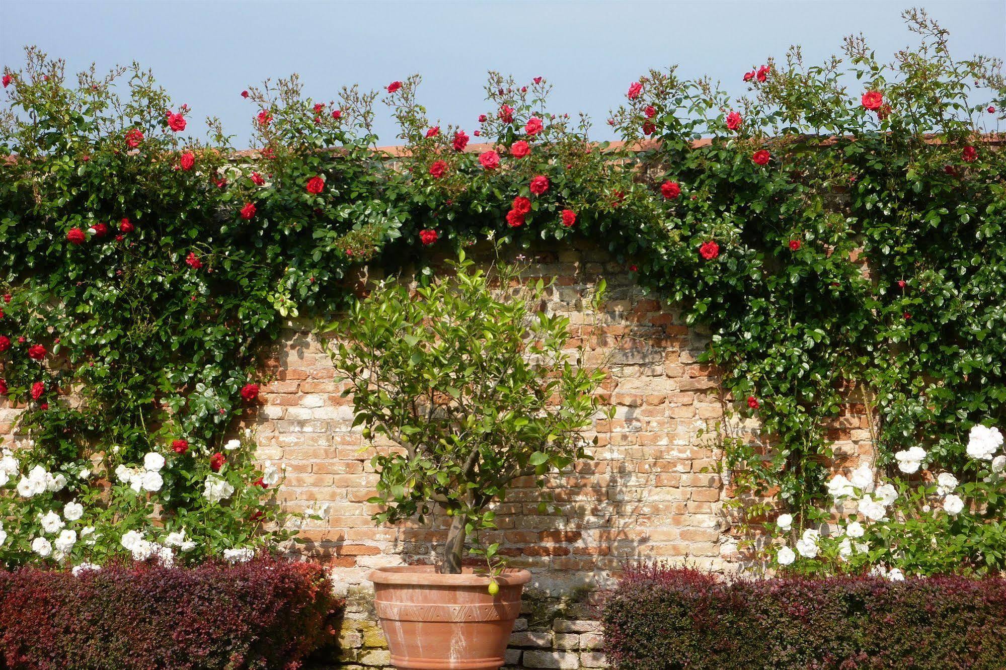Villa Alberti 돌로 외부 사진